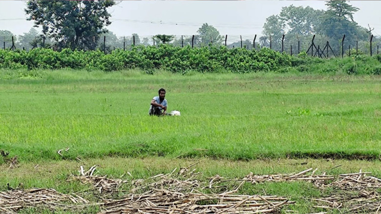 দেওয়ানগঞ্জ সীমান্তে আর এক যুবককে পুশইনের চেষ্টা, রুখে দিল বি