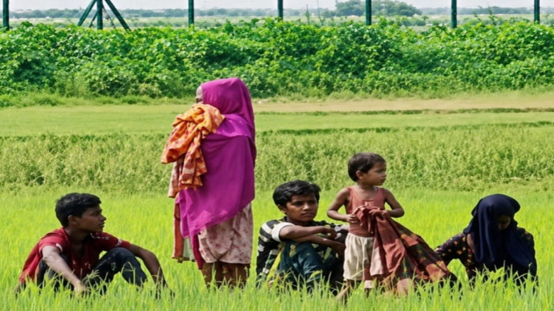 গোপনে সরিয়ে ফেলা হয়েছে রৌমারী সীমান্তে থাকা ২ শিশুসহ চারজনক
