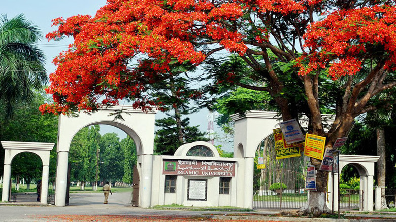 ১৯ মাসেও মাস্টার্সের ফল প্রকাশ হয়নি, প্রশাসনিক জটিলতায় ভোগান