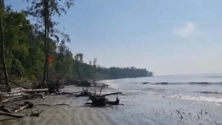 বরগুনায় সমুদ্রসৈকতে গোসল করতে নেমে পর্যটক নিখোঁজ