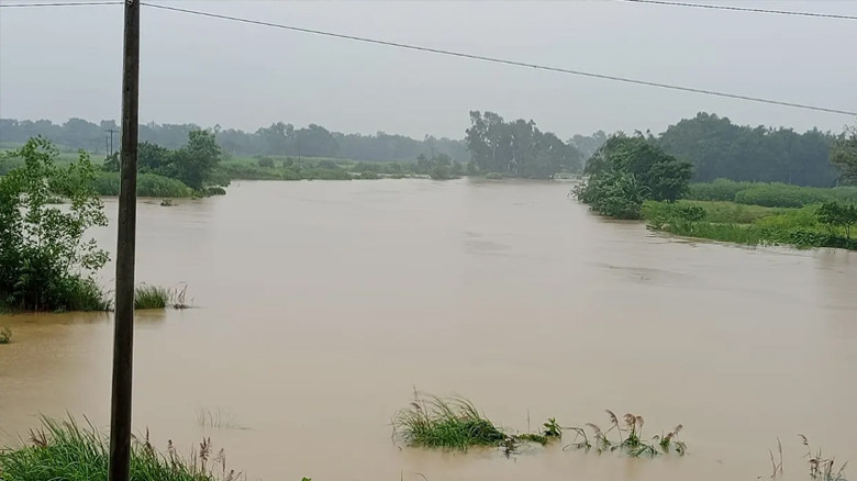 বাড়ছে গোমতীর পানি, ফসল হারানোর শঙ্কায় চরাঞ্চলের কৃষকরা