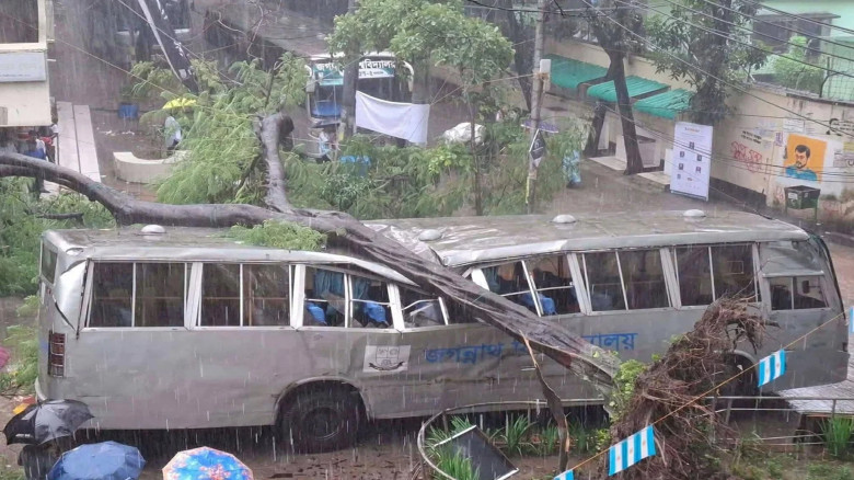 ভারি বৃষ্টিতে জবিতে আতঙ্ক, বাসের ওপর ভেঙে পড়ল গাছ