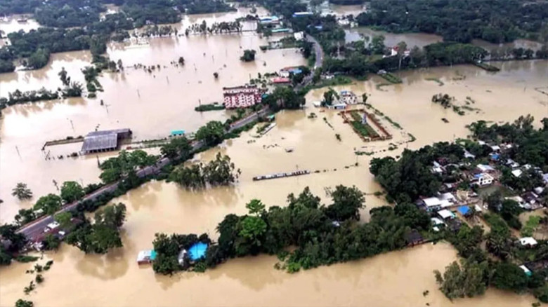 চট্টগ্রামে বন্যায় লক্ষাধিক পশুপাখির মৃত্যু