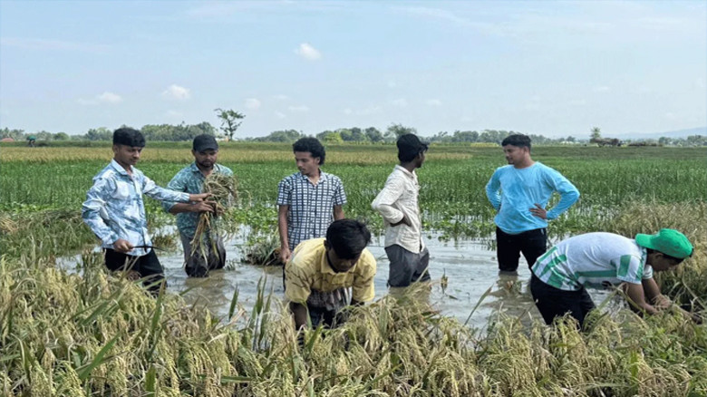 বন্যায় রাঙামাটির কৃষি ও খামারে প্রায় ৫১ কোটি টাকার ক্ষতি