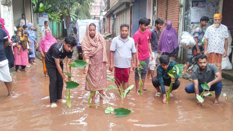 সড়কে হাঁটু পানি, কচুগাছ লাগিয়ে প্রতিবাদ স্থানীয়দের