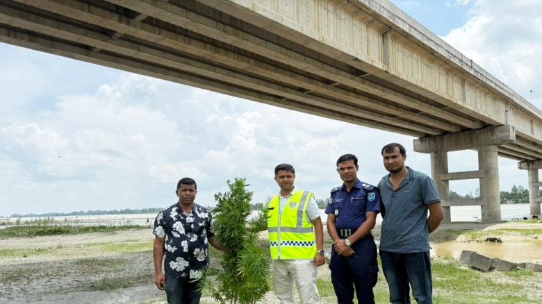পুলিশের অভিযানে গাঁজা ও গাঁজা গাছসহ আটক ১
