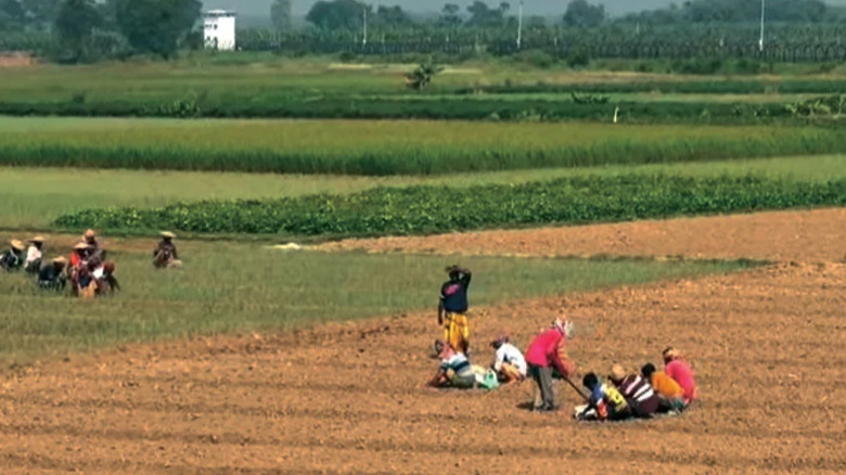 বন্যায় ক্ষতিগ্রস্ত ৬১ হাজার কৃষকের জন্য ২.২৪ কোটি টাকার বীজ