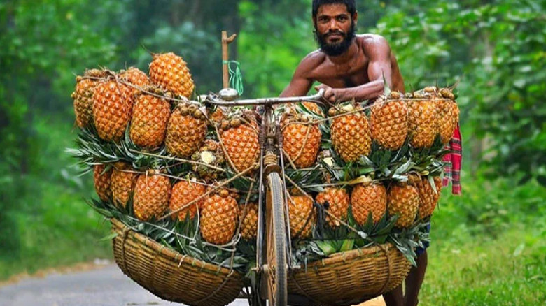 পাকিস্তানে রপ্তানি হবে বাংলাদেশের আনারস