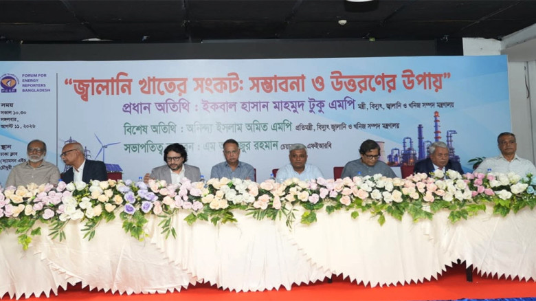 ১০ হাজার মেগাওয়াট সৌরবিদ্যুৎ উৎপাদনের লক্ষ্য সরকারের