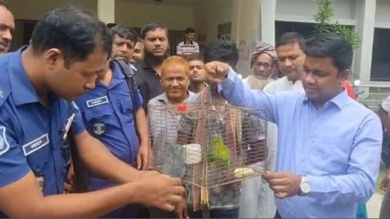 পাখি শিকারের দায়ে যুবকের জরিমানা, টিয়াপাখি অবমুক্ত