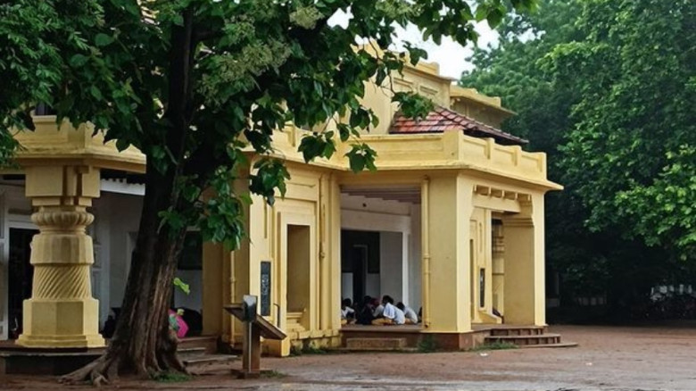 বাড়ির চারপাশ ঠাণ্ডা রাখতে লাগাতে পারেন ১০ গাছ